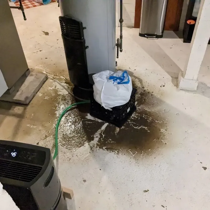 Sewage Backup Cleanup Service in Burlington, CO
